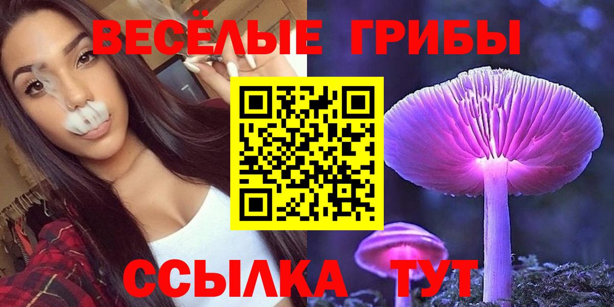 Галлюциногенные грибы Cubensis  Галлюциногенные грибы ЛСД  Пугачёв  Вход с VPN 
